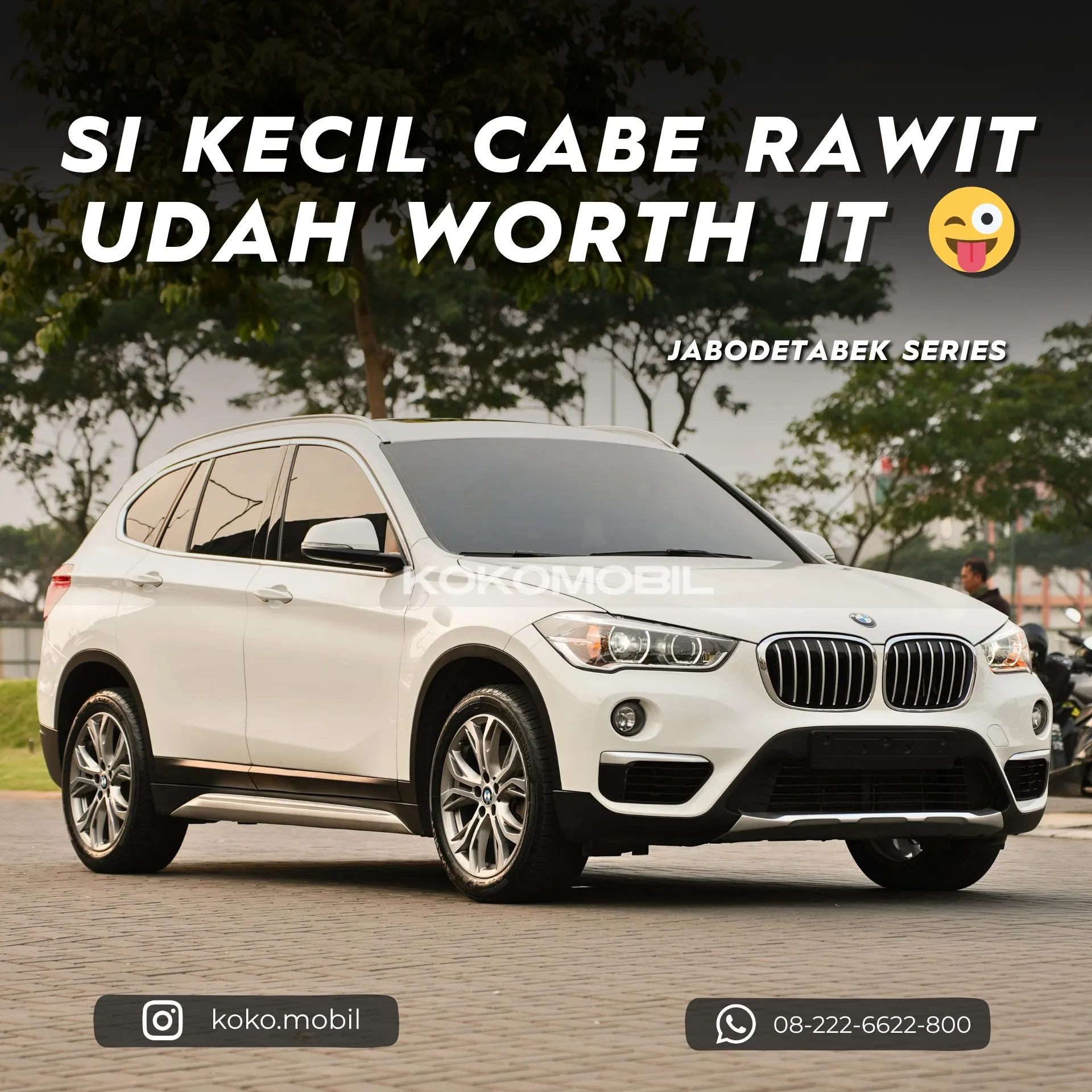 BMW X1 F48 XLine Panoramic 2019